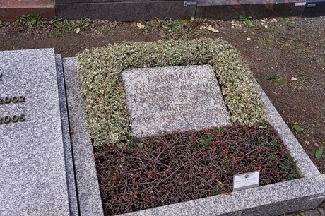 Graurheindorf