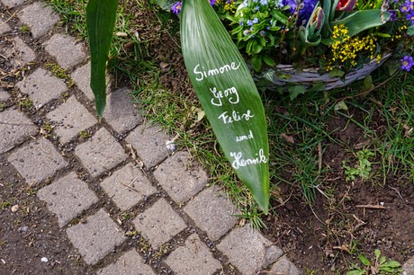 Graurheindorf