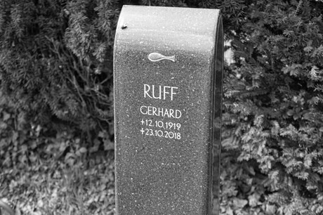 Graurheindorf