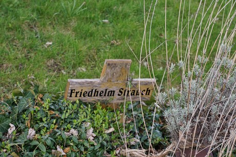 Graurheindorf