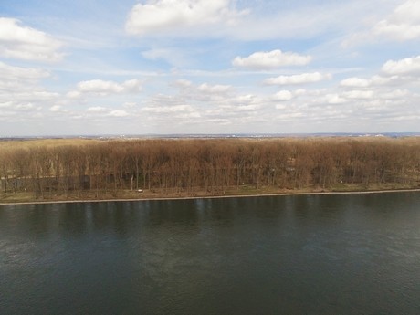 Graurheindorf