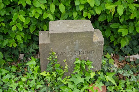 Gross-Vernich