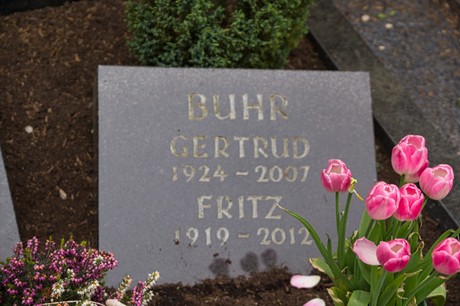 Gross-Vernich
