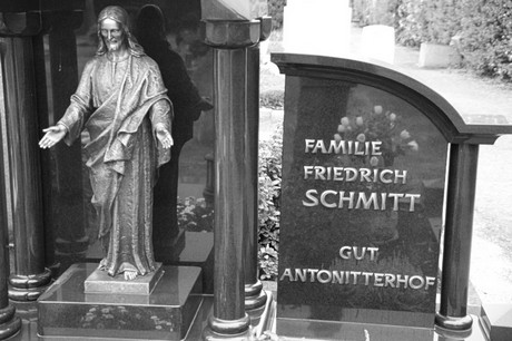 Gross-Vernich