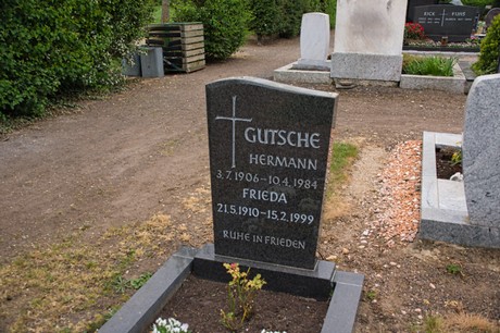 Gross-Vernich