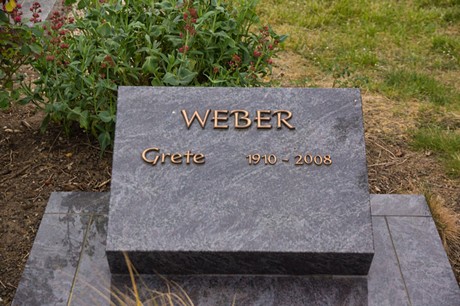 Gross-Vernich