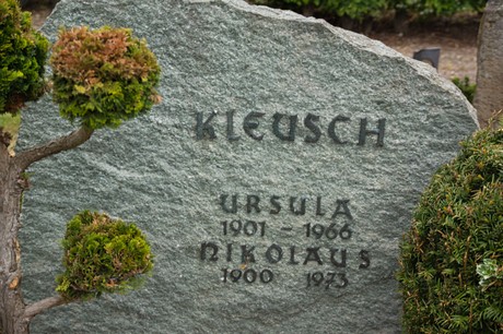 Gross-Vernich