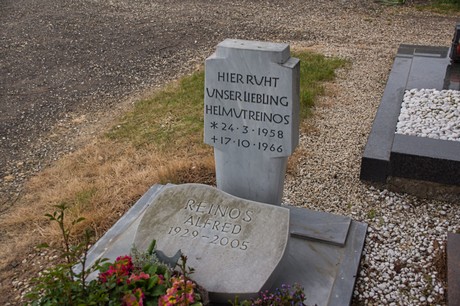 Gross-Vernich
