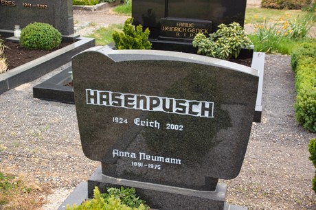 Gross-Vernich