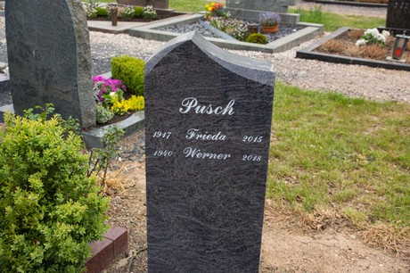 Gross-Vernich