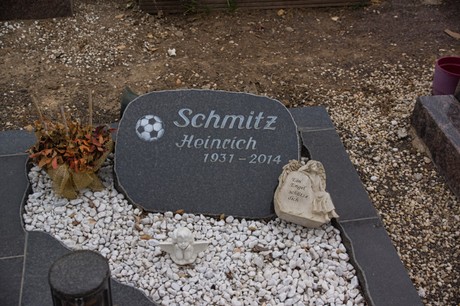 Gross-Vernich