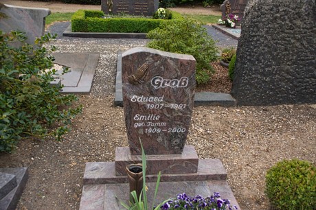 Gross-Vernich