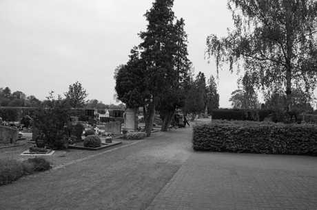 Gross-Vernich