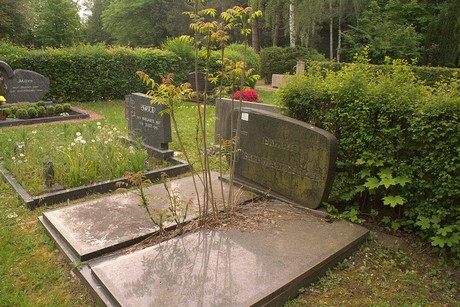 Habbeltath