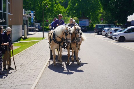 Hinterzarten