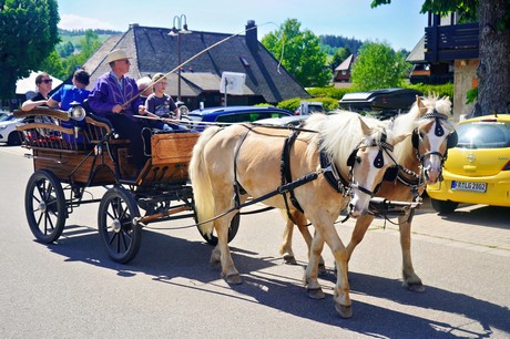 Hinterzarten