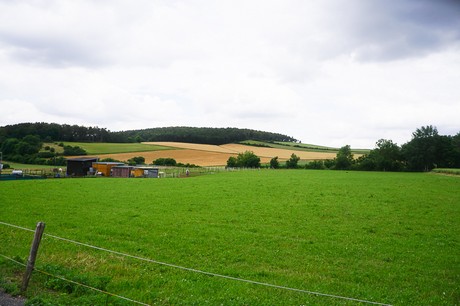 Holzheim