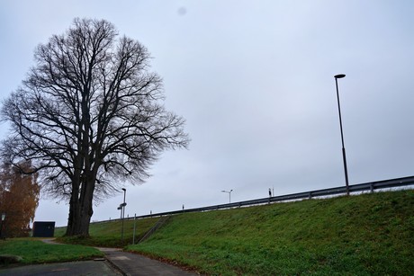 bilder