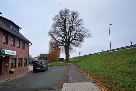 bilder