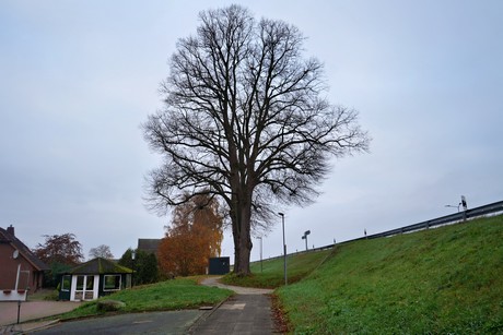 bilder