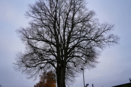 bilder
