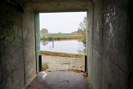 bilder
