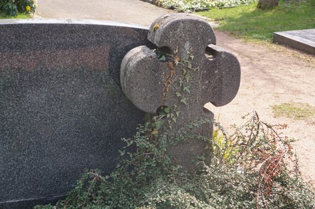 Impekoven