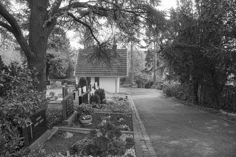 Ippendorf