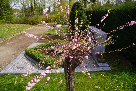 Ippendorf