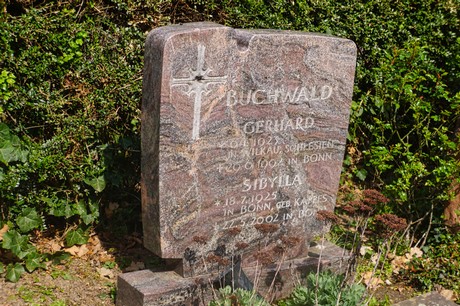 Ippendorf