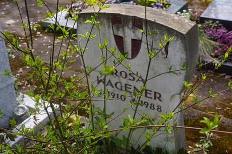Ippendorf