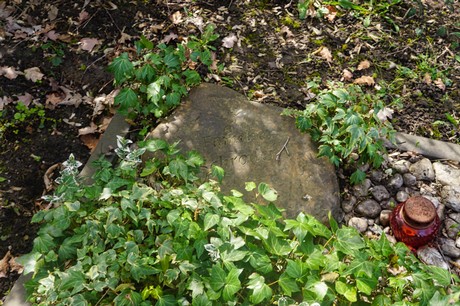 Ippendorf