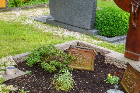 Kallmuth