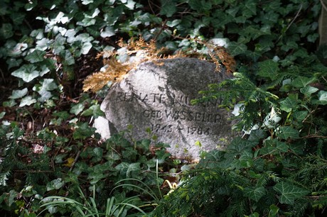 Kessenich