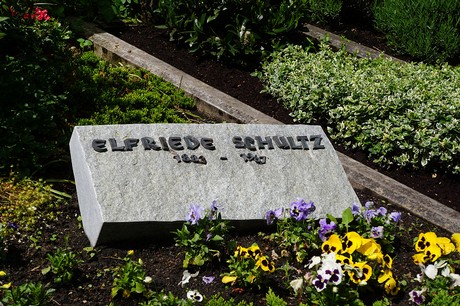 Kessenich