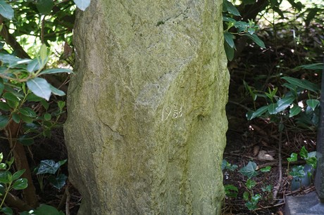 Kessenich