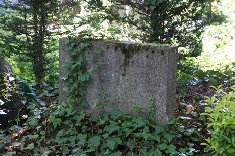 Kessenich