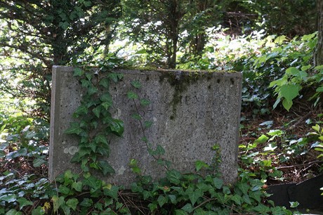 Kessenich