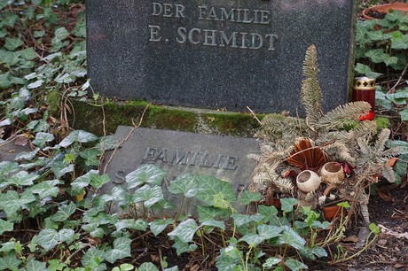Kessenich