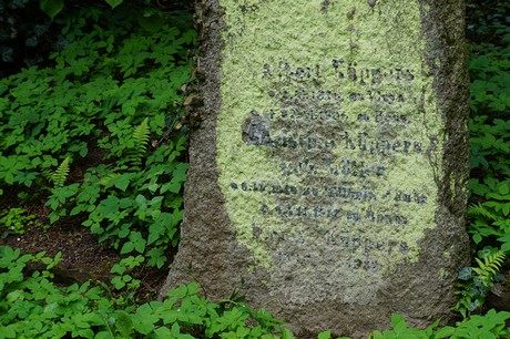 Kessenich