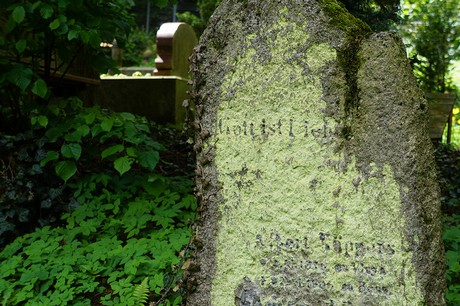Kessenich