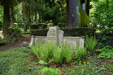 Kessenich