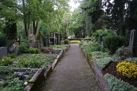 Kessenich