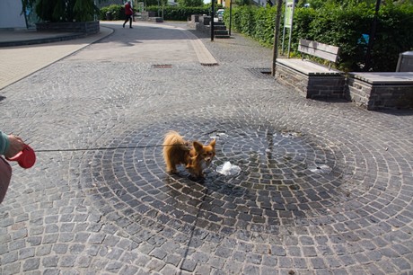 Kirchberg