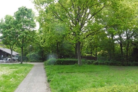 Kottenforst