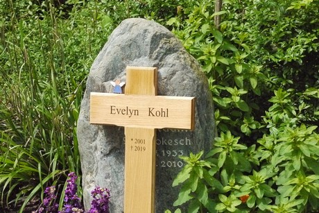 Kottenforst