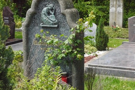 Kottenforst
