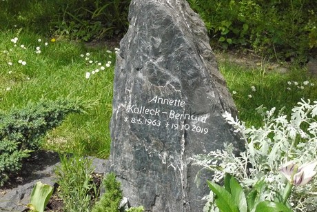 Kottenforst