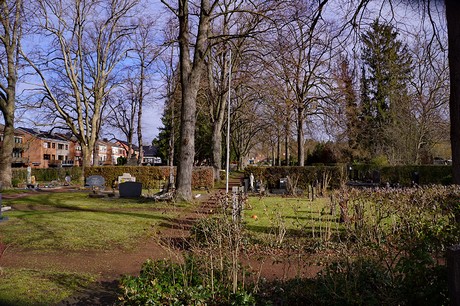 Kierdorf