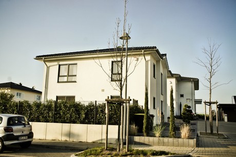 koenigsdorf